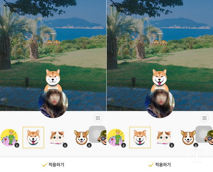 인사이트