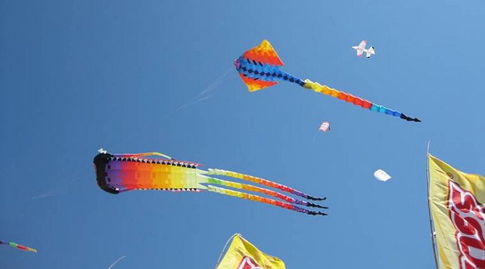 연날리기 행사 중 ‘연줄’에 목 잘려 사망한 어린이 2명