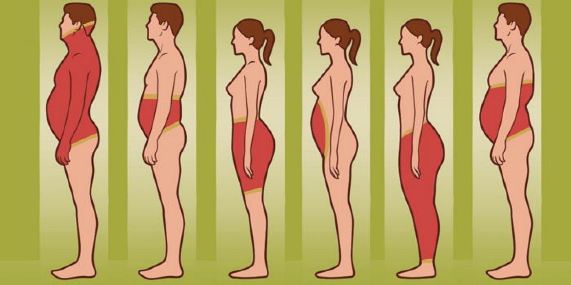 Тело человека растет растет. Типы ожирения живота у женщин. Типы жировых отложений у женщин. Форма живота при ожирении. Места отложения жира у женщин.