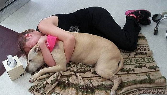 안락사 직전 반려견 포옹하며 ‘오열’하는 주인