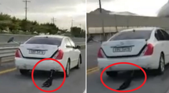 ‘악마 에쿠스’ 사건 순창서 또 일어났다 (영상)