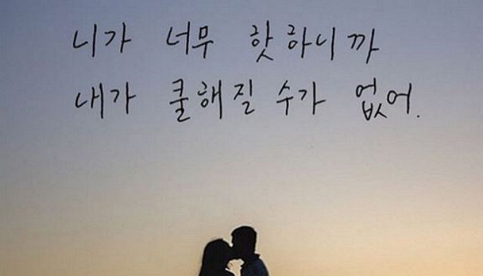 하상욱 저리가라는 ‘SNS 시인’ 4인방