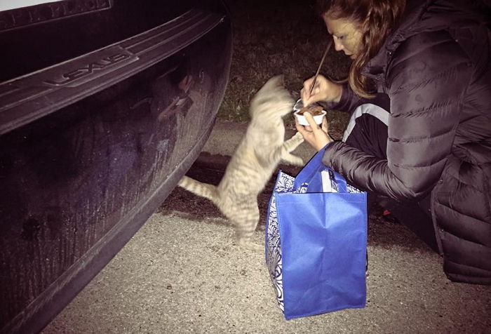 ‘집사’ 되어 달라며 밥 주는 여성에게 매달린 길고양이