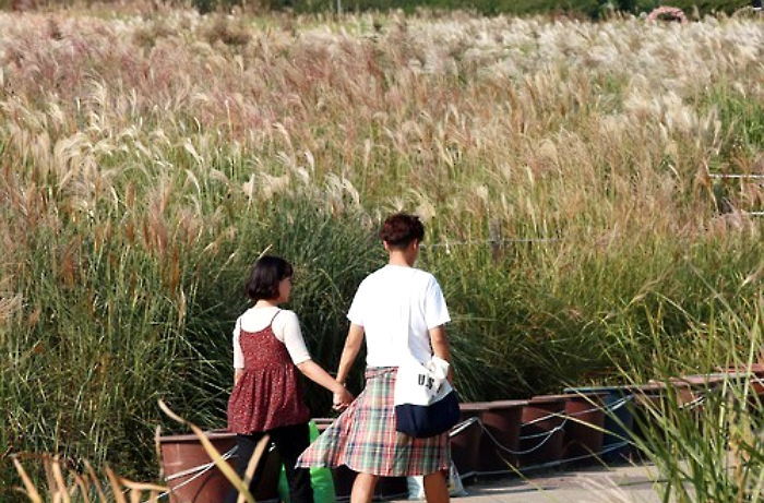 가을에 연인과 가면 좋은 서울 인근 공원 8곳