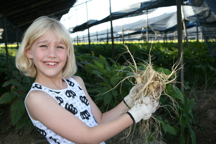 남친과 꼭 가야한다는 가을에 열리는 ‘먹방’ 축제 7