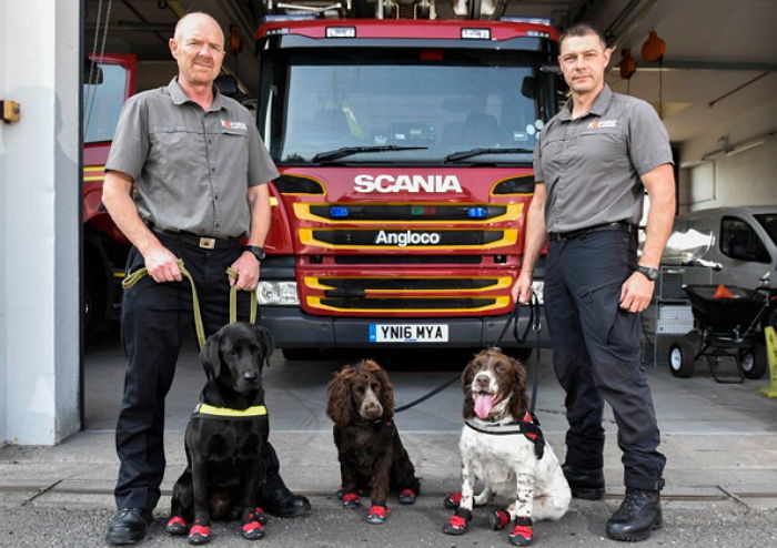‘특수 신발’ 선물받고 화재현장에서 활약하는 ‘소방견들’