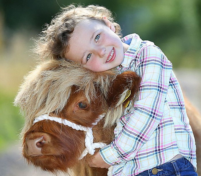 독특한 헤어스타일 때문에 SNS 스타된 ‘소간지’ 송아지