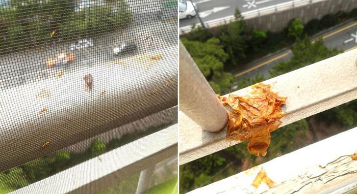 아파트 베란다에 ‘음식물 쓰레기’ 던지는 민폐 주민