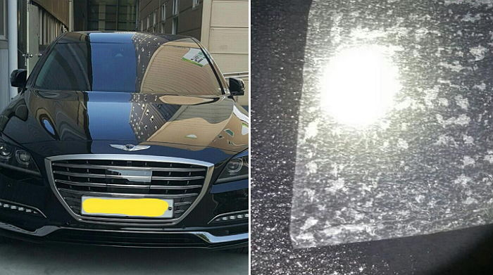 “현대 ‘제네시스’, 산지 한달만에 물이 줄줄 샙니다”