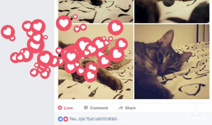 오늘(21일) 페북 게시물에 ‘하트’ 누르면 볼 수 있는 모습