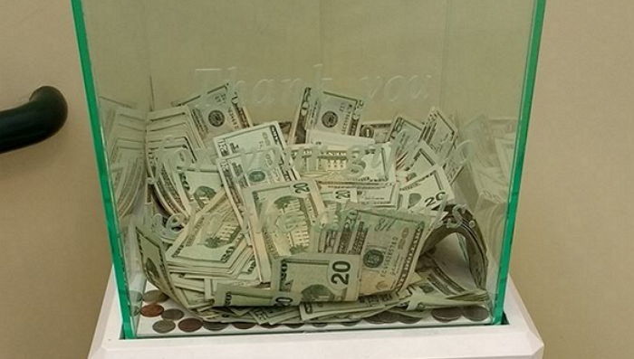 길고양이 사료 사주라고 보호소에 ‘800만원’ 몰래 기부한 시민