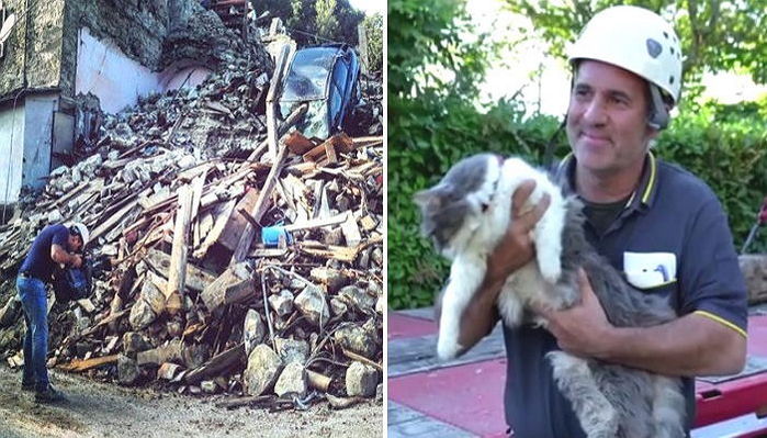 지진 잔해 속에서 ‘한 달’ 동안 빗물만 먹고 생존한 고양이