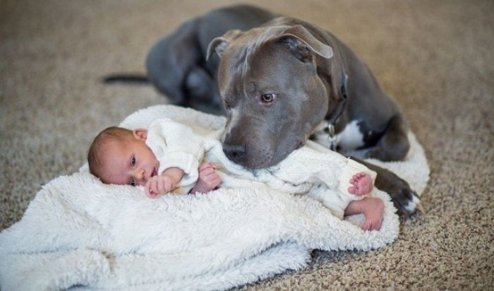 ‘마비된 몸’으로 숨을 거둘 때까지 묵묵히 소녀를 지킨 강아지