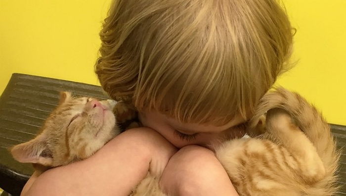 버려진 슬픔 위로하며 유기묘 꼭 껴안아 주는 소녀