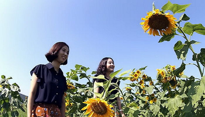 내일(6일) 태풍 ‘차바’ 영향 벗어나 다시 청명한 가을 하늘