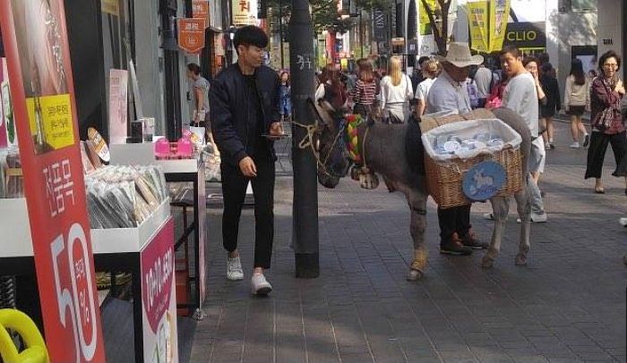 ‘당나귀’에 화장품 싣고 명동서 이벤트 진행한 씨앤트리