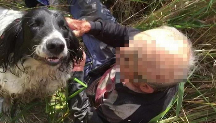 골든타임 안에 실종 할아버지 구한 인명 구조견 ‘수안’ (영상)