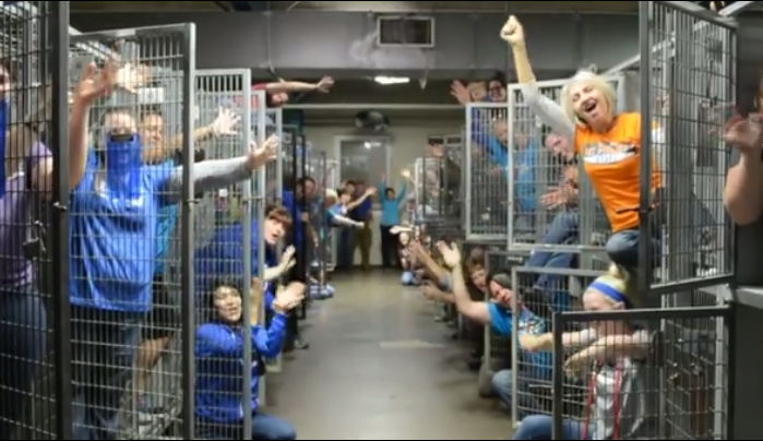 ‘834마리 유기 동물’ 입양 보낸 자원봉사자들의 환한 미소