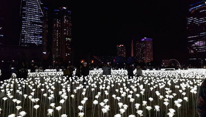 2만송이 ‘LED 장미’가 환하게 밝히는 ‘송도불빛 축제’