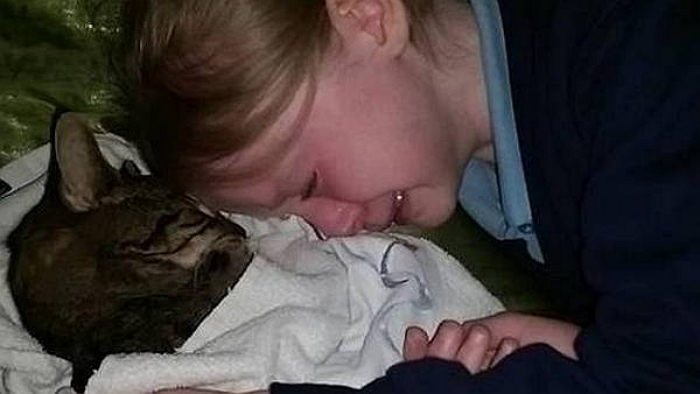 유기묘로 오해돼 안락사 당한 반려묘를 본 소녀의 ‘눈물’