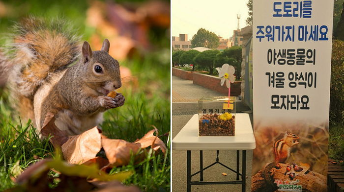 ‘도토리’ 훔쳐가는 관람객 때문에 비상 걸린 어린이대공원