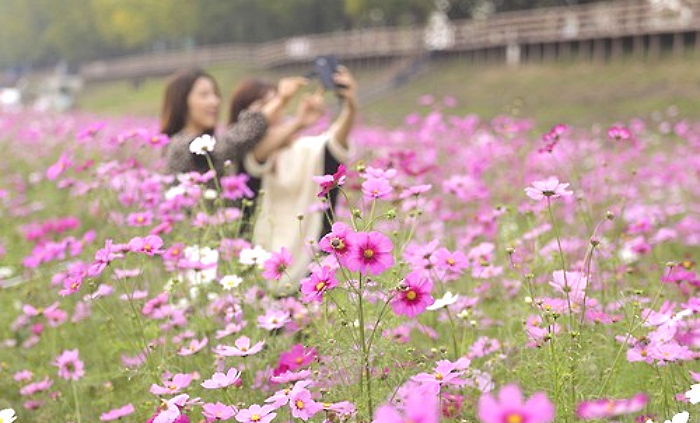 “나들이 떠나기 딱 좋아”…하늘 맑고 포근한 가을 날씨