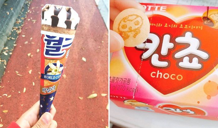 롯데제과 수습사원이 ‘정규직’ 되기 위해 꼭 해야하는 일