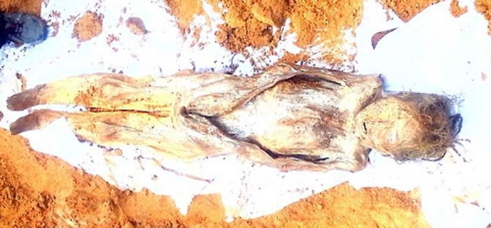 ‘곡성’서 머리카락 남아있는 ‘379년’ 된 女미라 발견