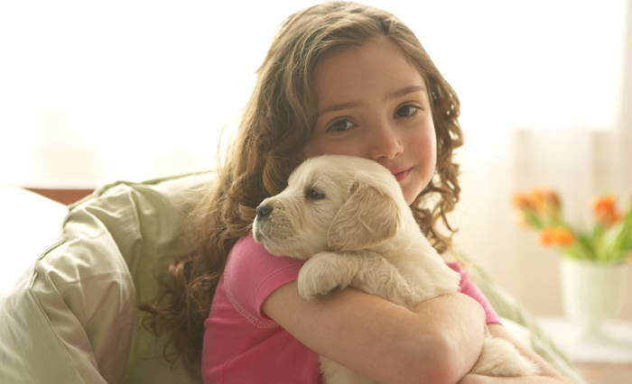 강아지들이 ‘싫어하는’ 주인의 행동 10가지