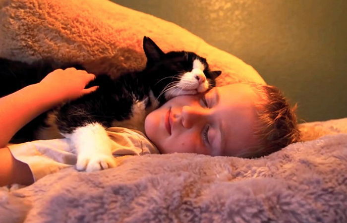 자신 입양한 어린 집사 매일 안아주는 ‘20살’ 고양이