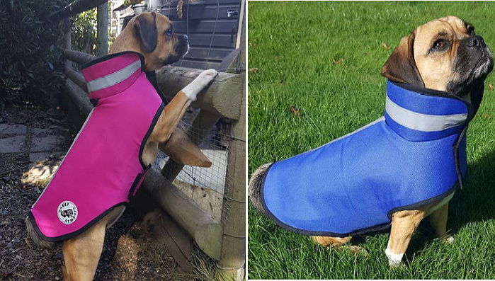 추위까지 피할 수 있다는 강아지용 ‘패딩 방탄조끼’