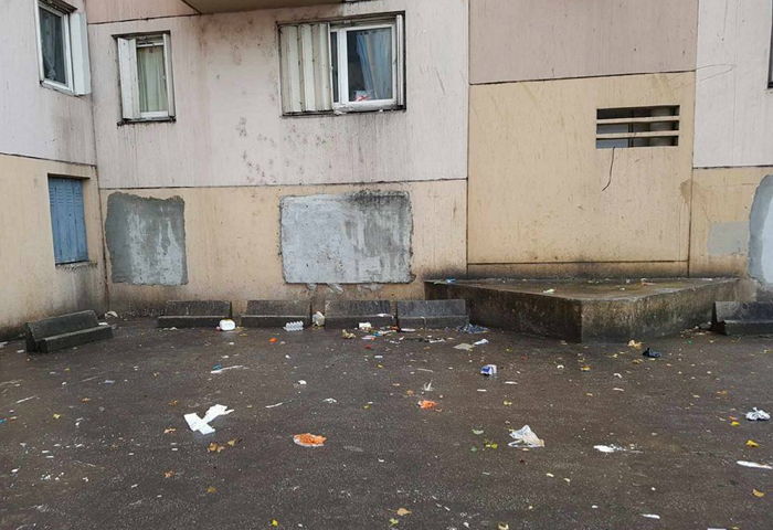 벽에 끼인 채 살려달라 외친 아기 고양이