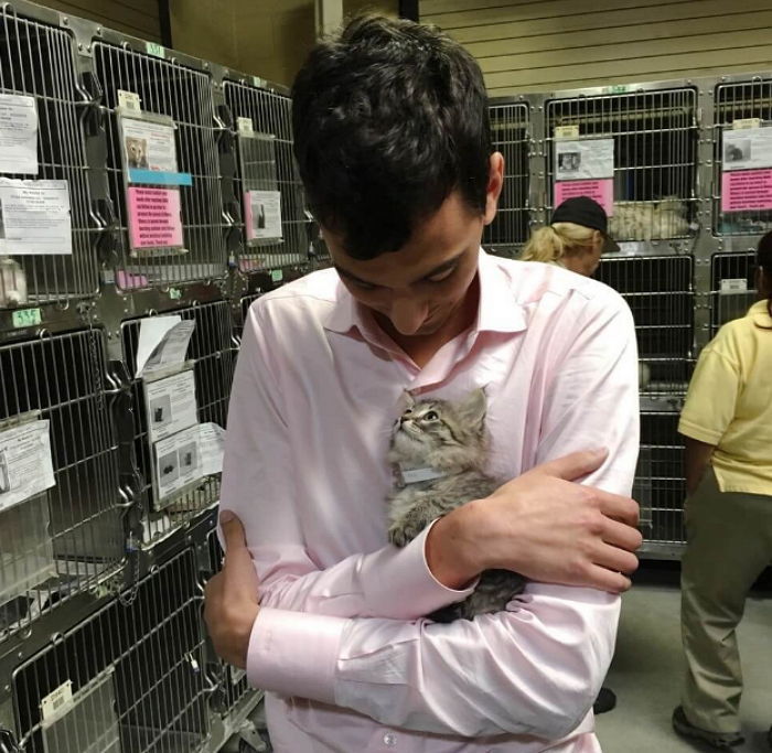 주인돼 달라고 눈빛 보내는 아기 고양이