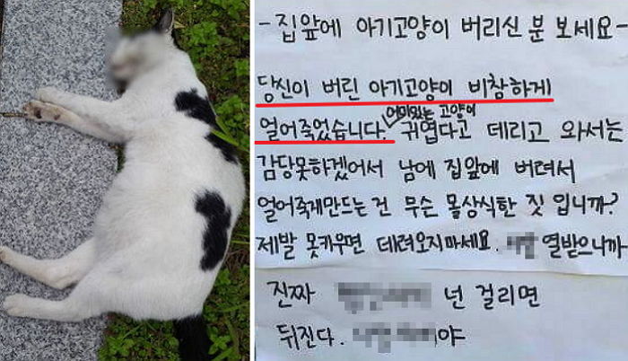 얼어 죽은 아기고양이를 발견한 사람이 쓴 분노의 대자보
