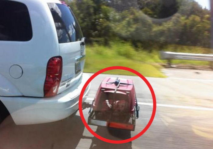 고속도로서 차 뒤에 ‘강아지 케이지’ 묶고 달린 주인