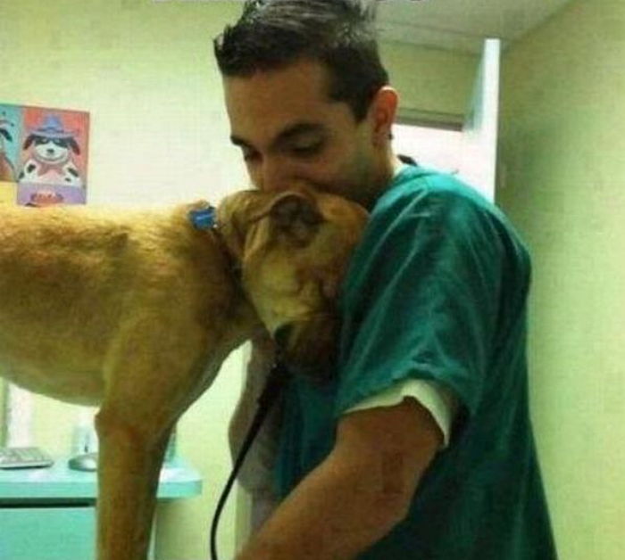 자신 치료해준 수의사에게 고맙다고 ‘포옹’하는 강아지