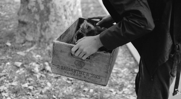 “내 주인 돼라냥” 길에서 만난 길냥이는 집사를 찾고 있었다