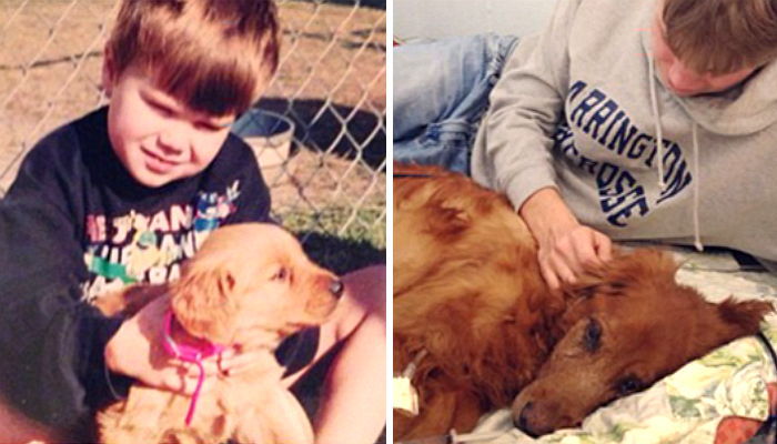 평생 함께한 반려견의 ‘첫 만남’과 ‘마지막 모습’ 사진에 담은 남자