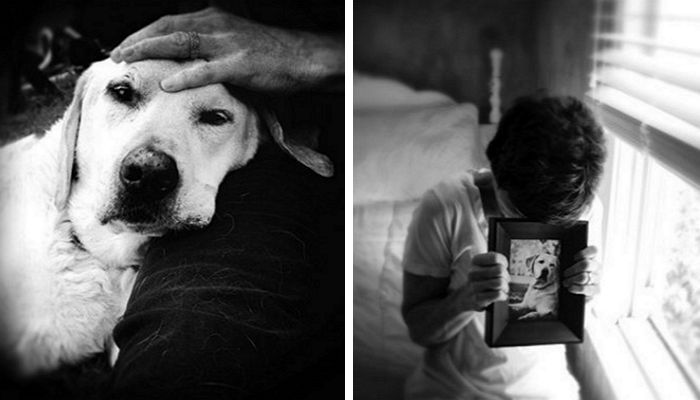 키우던 반려견 죽자 사진들고 오열하는 주인