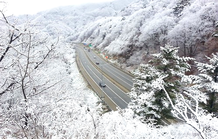 오늘자 ‘눈’ 수북이 쌓인 대관령 절경 사진 7장