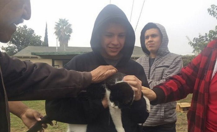 강아지 피해 전봇대 올라갔다 9일동안 못내려온 고양이 (영상)