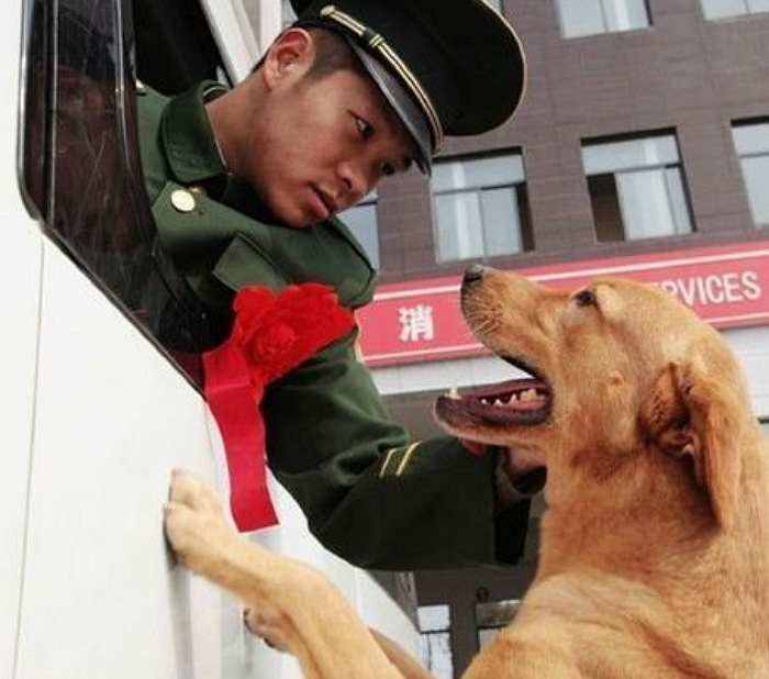 전역하는 군인 아빠와 이별 아쉬워 매달리는 군견