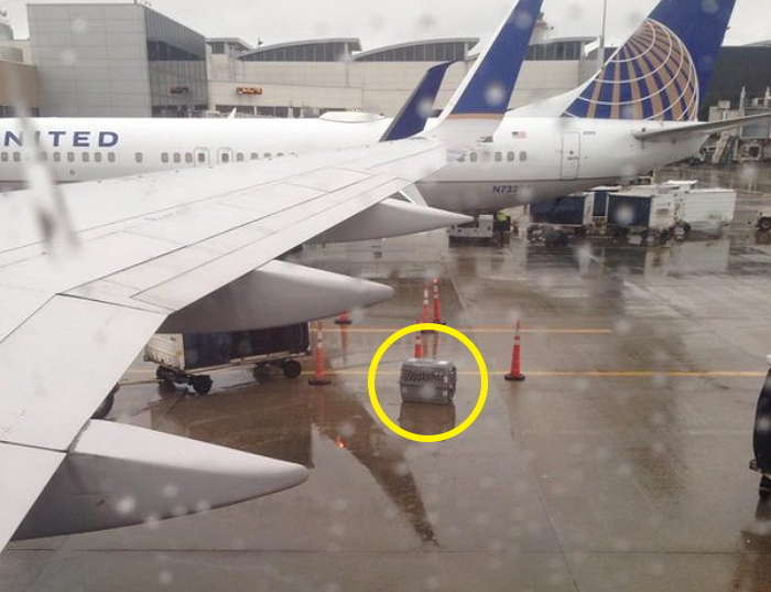 반려견과 비행기를 탄 주인은 이 장면을 보고 눈물을 흘렸다