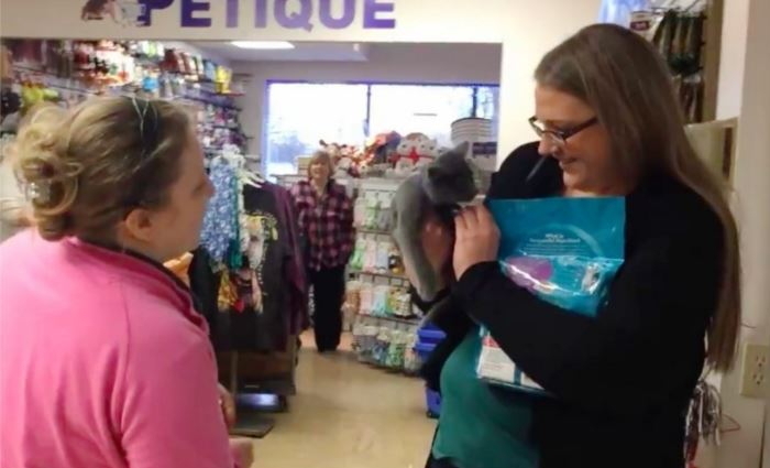 집사남이 아기 고양이로 여친에게 프러포즈 하는 방법 (영상)