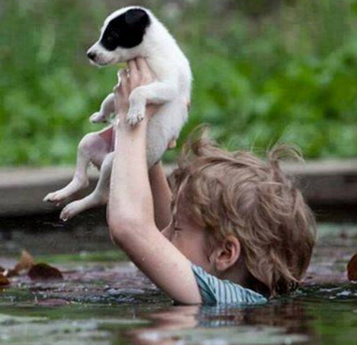 아기 강아지 구하기 위해 맨몸으로 강물에 뛰어든 소년
