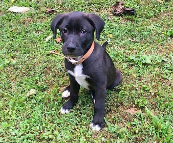 여성이 도로 위에서 발견한 ‘검은 봉지’의 정체 (영상)