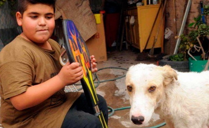 다친 유기견 위해 ‘보물 1호’ 내놓은 소년의 따뜻한 기부