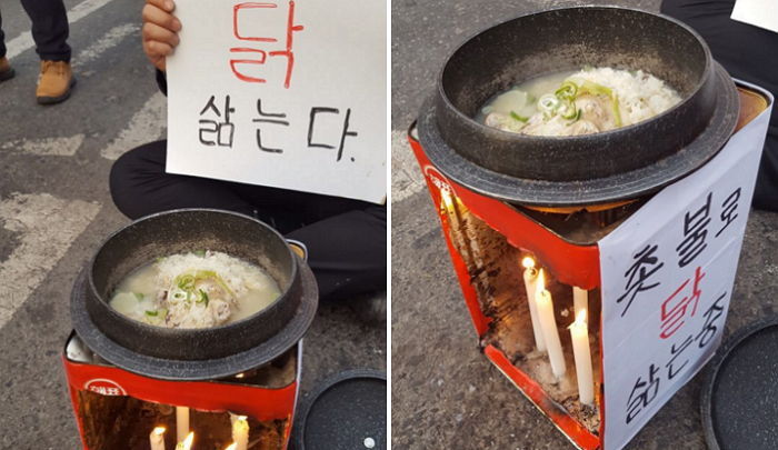 “촛불 모이면 ‘닭’ 삶는다”…집회서 촛불로 닭 삶는 시민