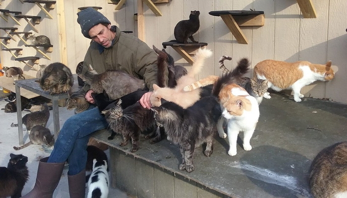 교통사고로 아들 잃은 후 길고양이 ‘300마리’ 입양한 아빠