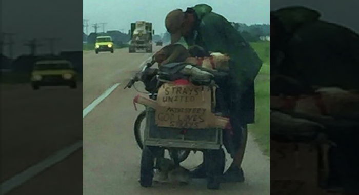 거리에 버려진 유기견 10마리 구조해 함께 사는 노숙자